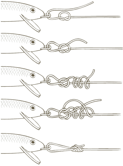 rapala csomó