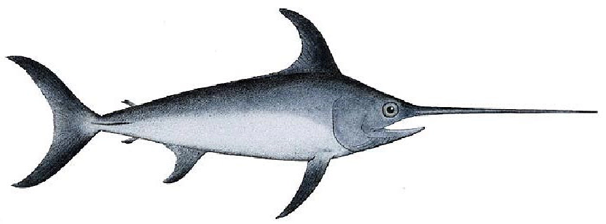 Kardhal