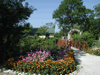 Aranyponty Horgászcentrum