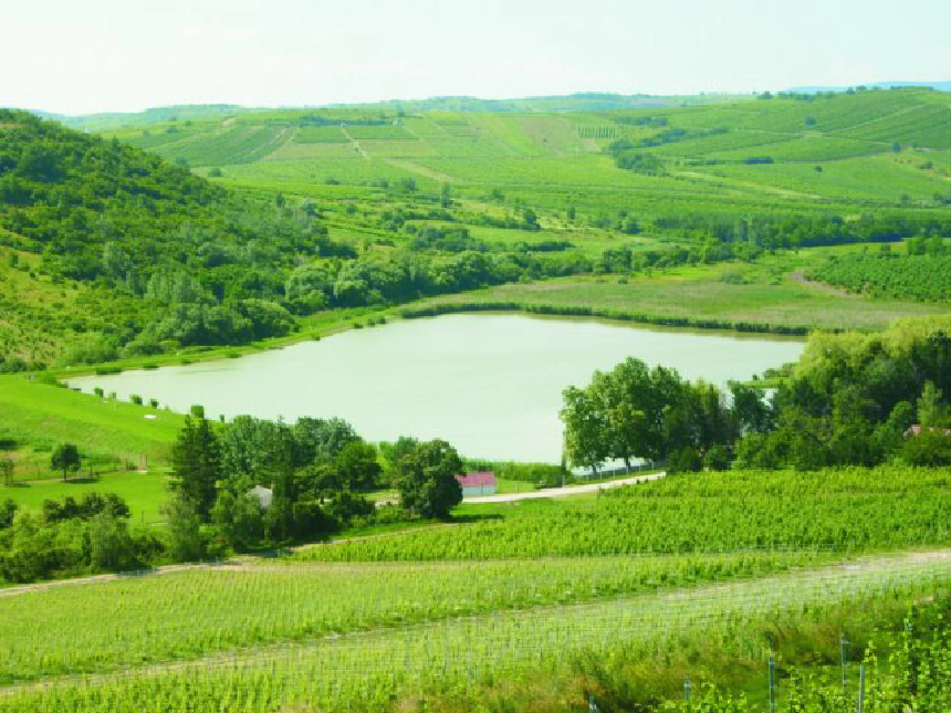 Bortó (Mádi-víztározó)