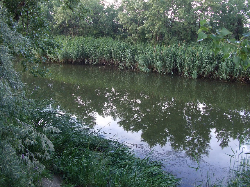 Duna-Tisza csatorna