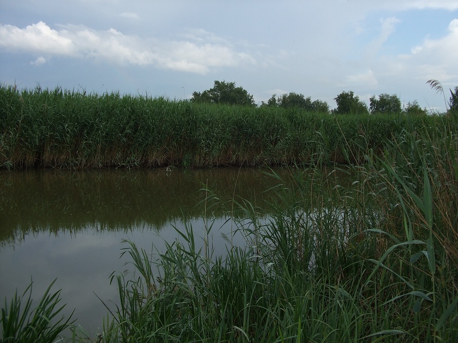 Duna-Tisza csatorna Taksony