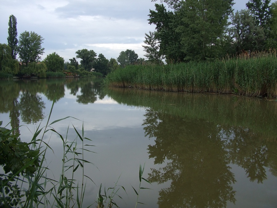 Duna-Tisza csatorna Taksony hokonypart