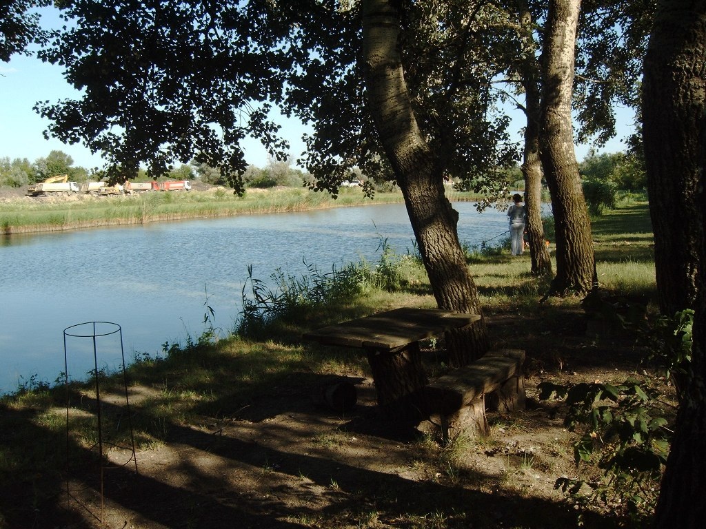 Müller horgásztó fás part