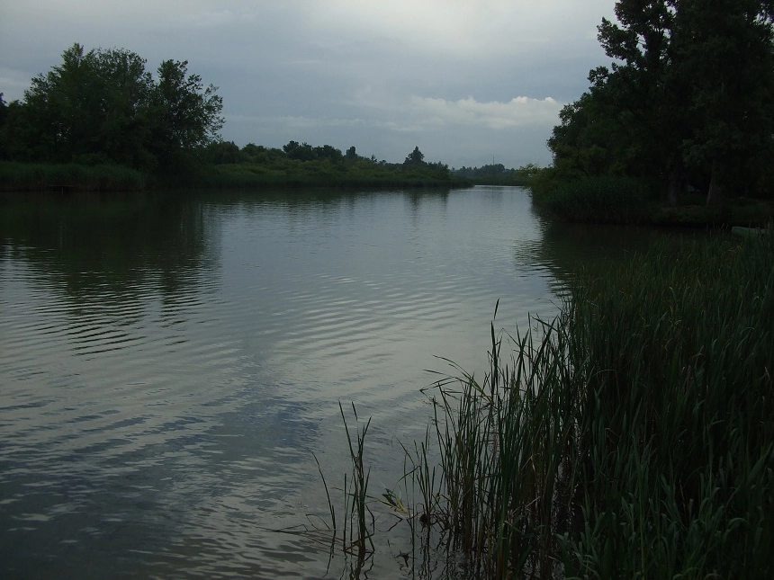 Ráckevei-Dunaág